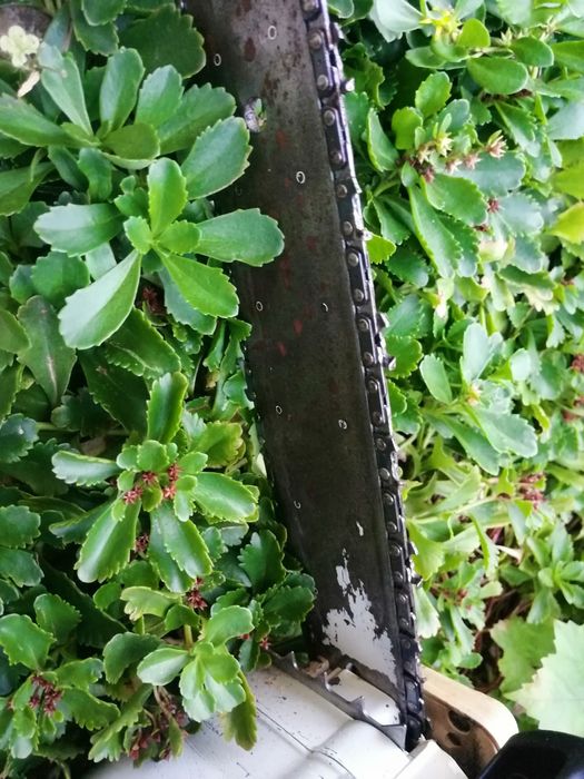 stihl-ms-200-olx-bg