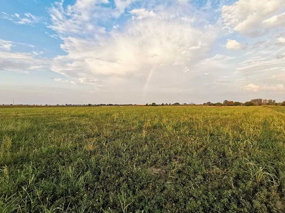 Продава се Парцел в Пловдив, Каменица 2 - 10540 кв.м за 28 €/кв.м - Снимка #2