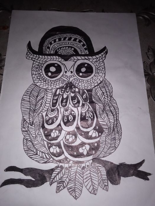 2 ta rasm qo'lda chizilgan