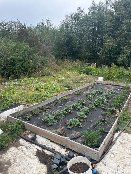 Продам дачу в СО Садовод