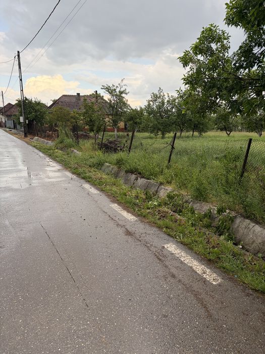 Teren intravilan Husasău de Tinca, Miersig, 1200 mp, la asfalt (25 min de Oradea)