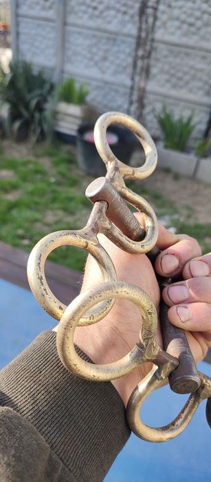 Zabala nemțească/strună cal