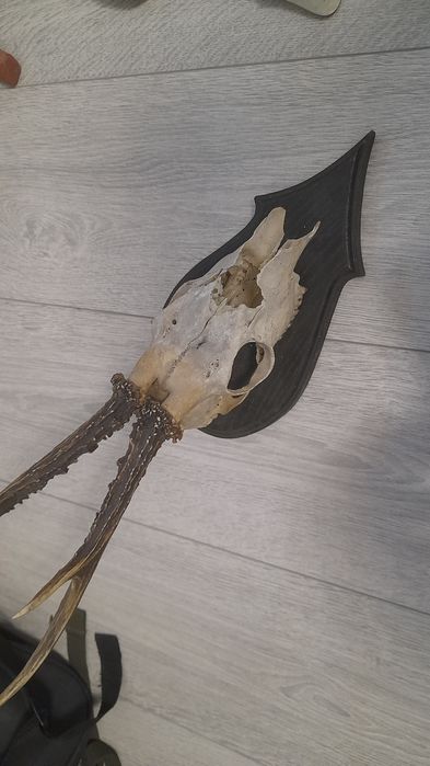 Schimb diverse cu baionete ruginite , în orice stare