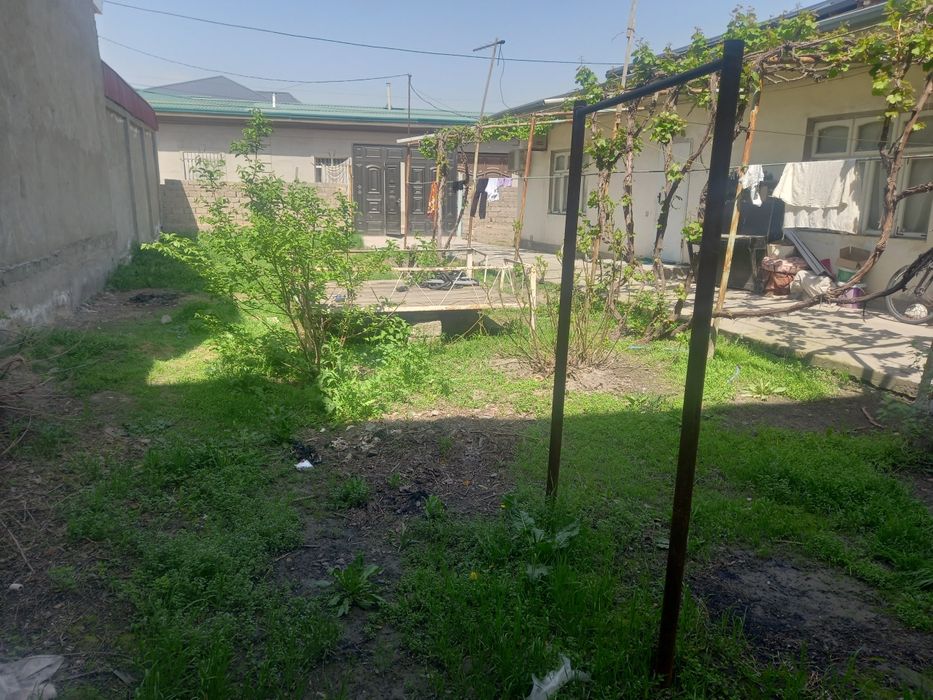 Yangihayot tumanida uchastka sotiladi