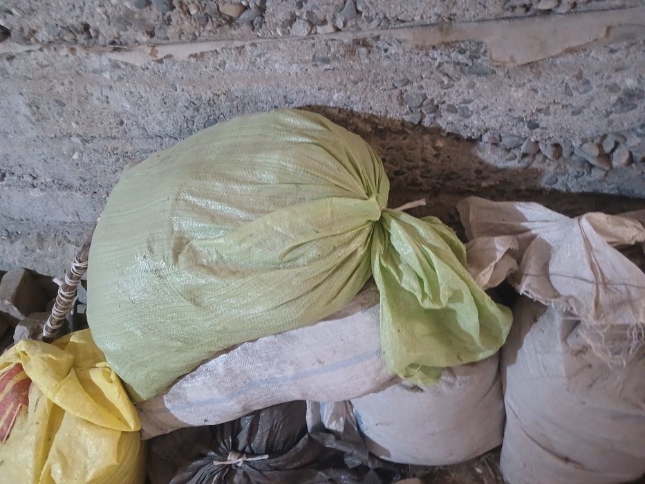Quy go'ngi turvasi 5000 ming sum yana kelishiladi soni cheklangan