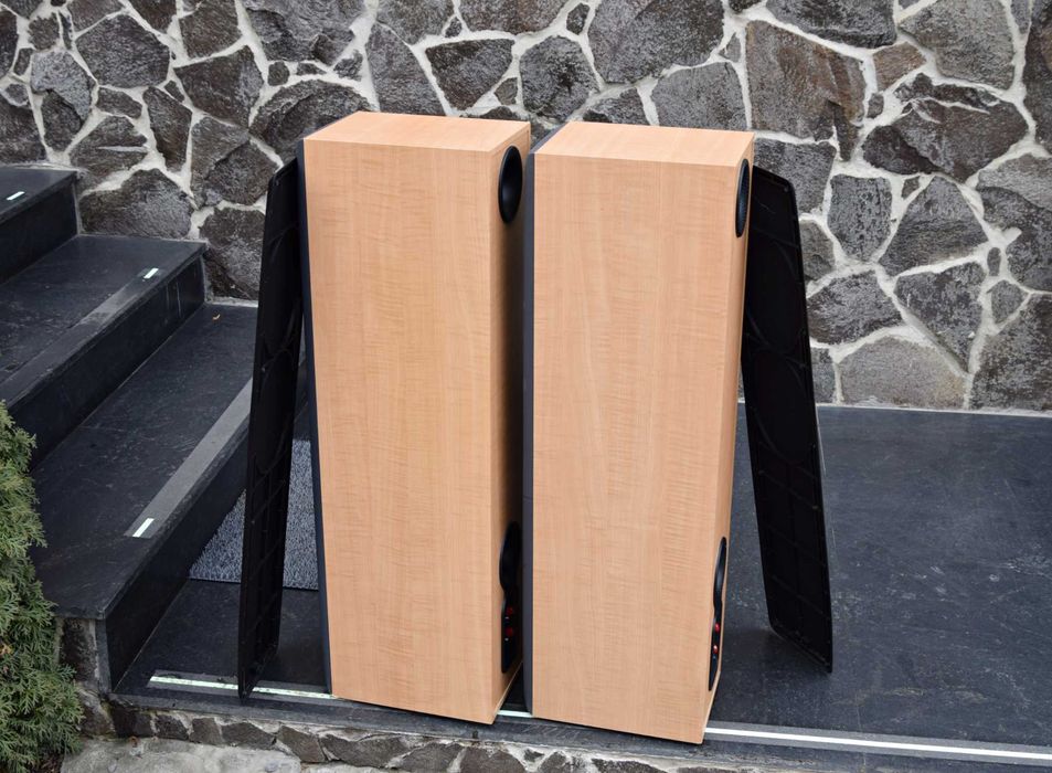 Boxe Bowers & Wilkins DM 309, B&W boxe de podea