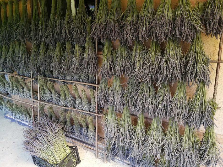 Buchete, sapun cu lavanda, sirop de lavanda, lumanari, saculeti cu lav