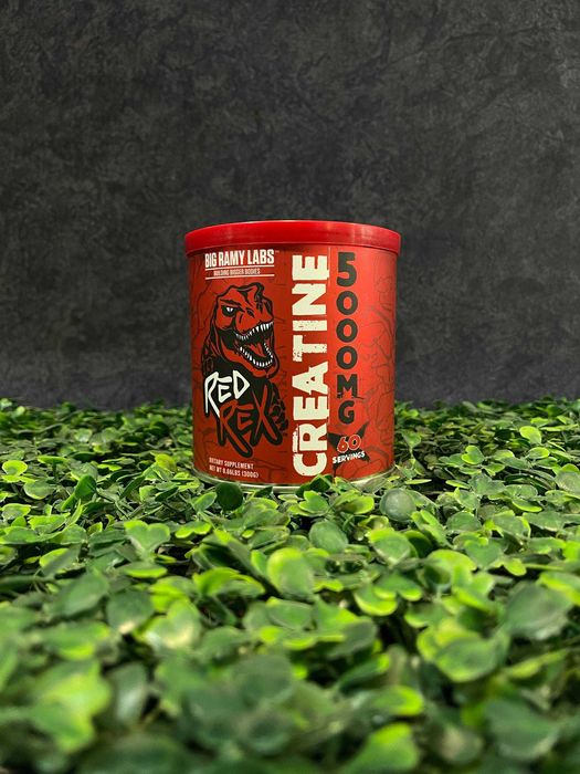 Red Rex Creatine 300gr