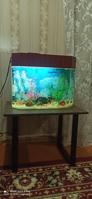 Аквариум в сборе со столиком