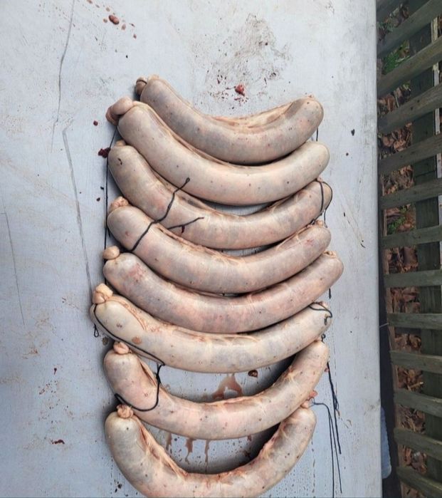 Согым жілік 2750тг кун сайын