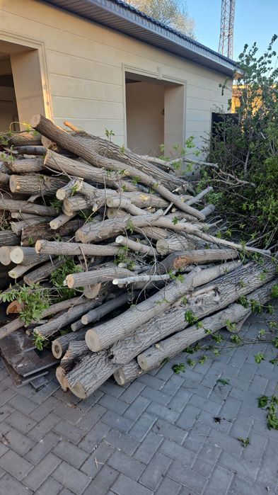 Дрова бесплатно самовывоз