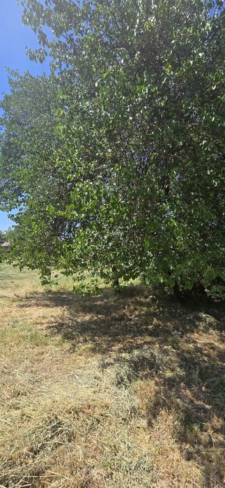 Продается Участок в таваксае