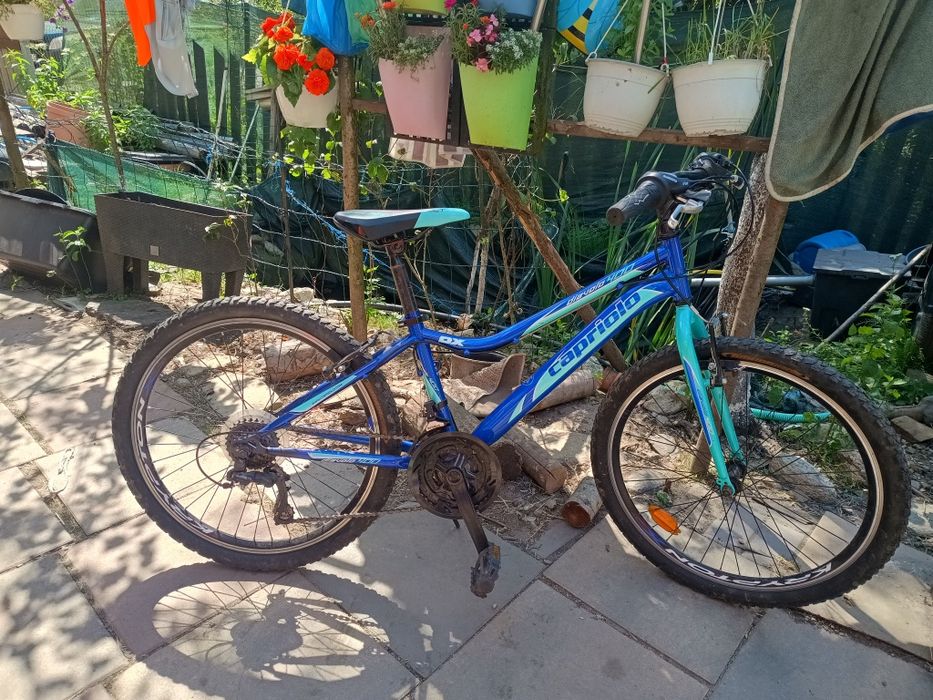 Bicicleta copii 9/12 ani