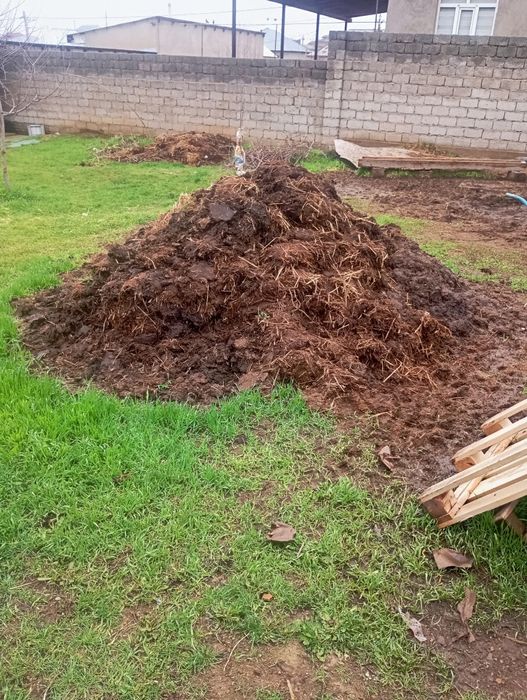 Навоз бараний бесплатно