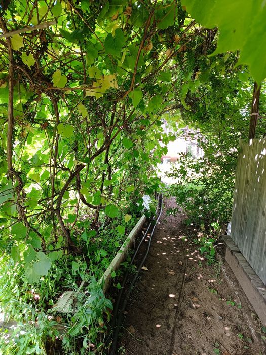 Продам дачу 3 общество