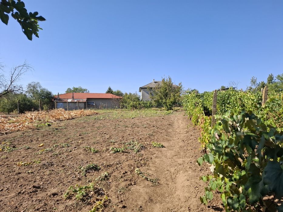 Продава се Парцел в с. Калипетрово, Област Силистра - 1194 кв.м за 15 €/кв.м - Снимка #8