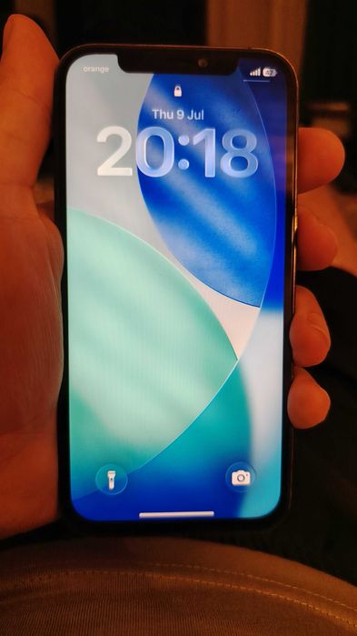 Iphone 12 pro functional