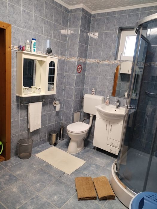 P.F.Închiriază casă 2 camere 110 Mp cu curte 600 Mp.Băile 1Mai Bihor