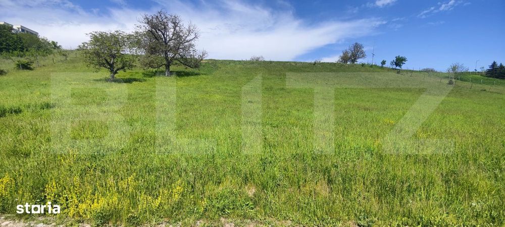 Teren Panoramic 15.500 mp – Investitie sau Dezvoltare, Zona Aleea Ma