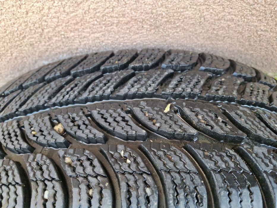 195/65R15 rulate putin!