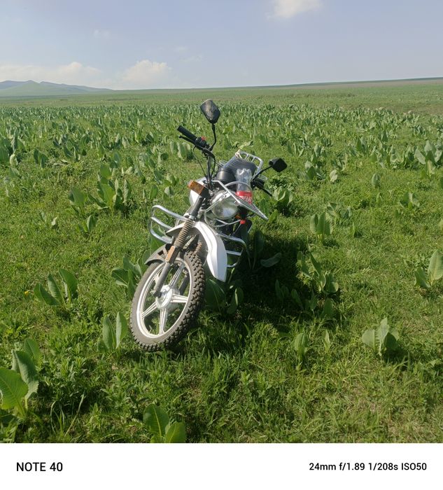 Продам мотоцикл кулагер