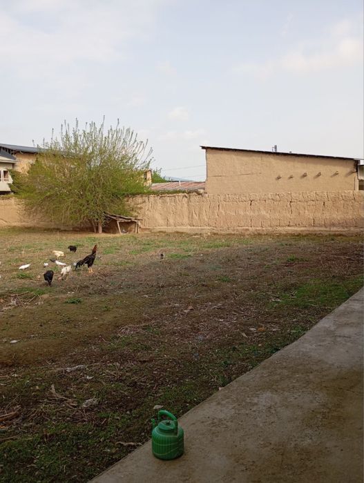 Uchaska sotiladi quru yer hisobida beriladi