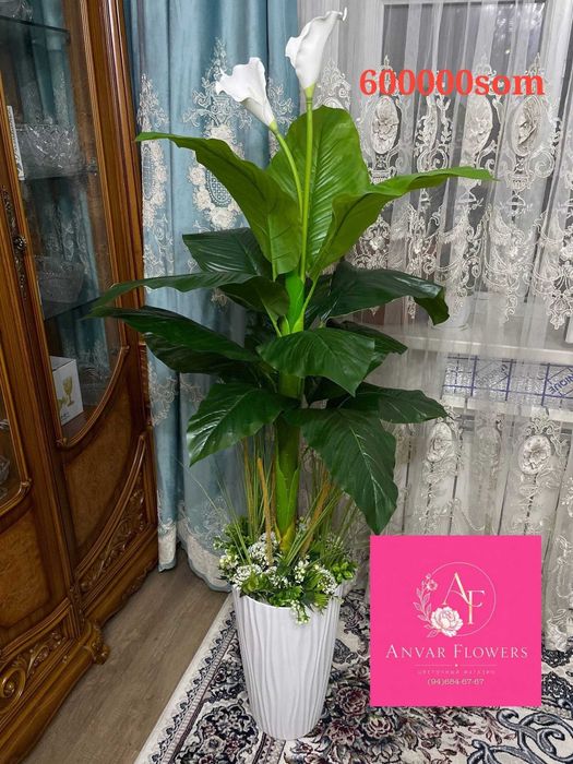 gullar darahtlar sotiladi sakura kala atrgul продается цвети и дерево