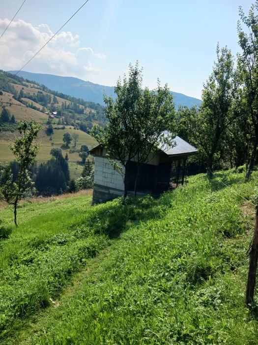 Case si teren de vanzare ALBAC, ALBA