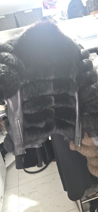 Blana vulpe polara carolina