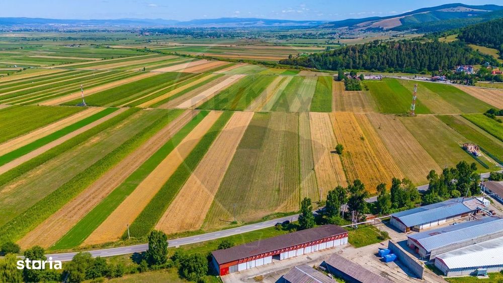 TEREN extravilan- 6 E/MP- CU PLANTATIE DE TRANDAFIRI! Teliu 7000mp