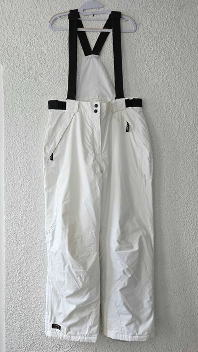 Мъжки ски панталон Alpine размер Л