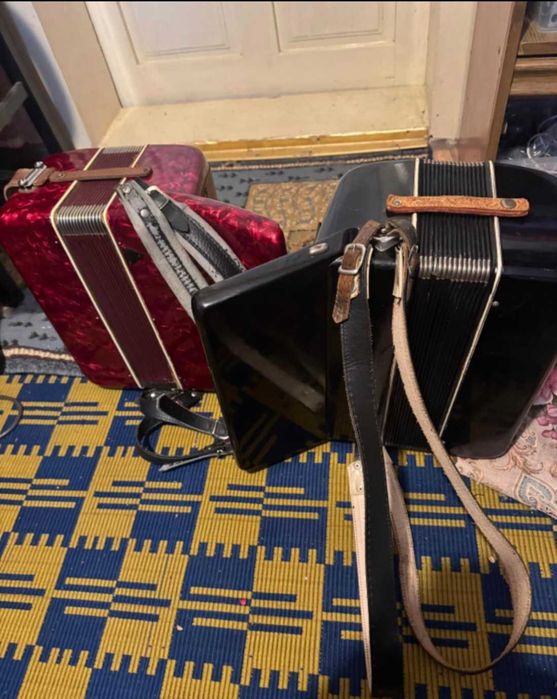 Acordeon 60 basi pentru copii