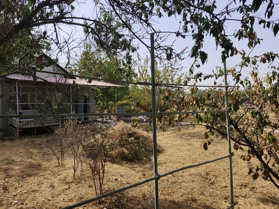 Дача! Таш.обл Горы  (Красногорск)