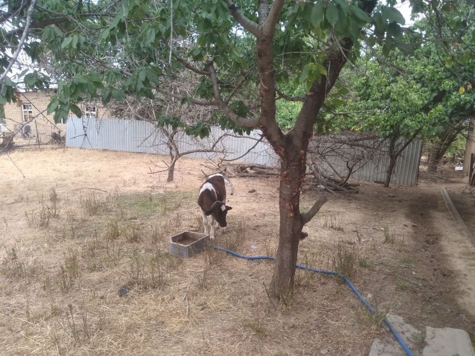 Срочно продаётся участок 7 соток все документы имеются