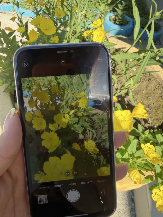 Продается Iphone 11