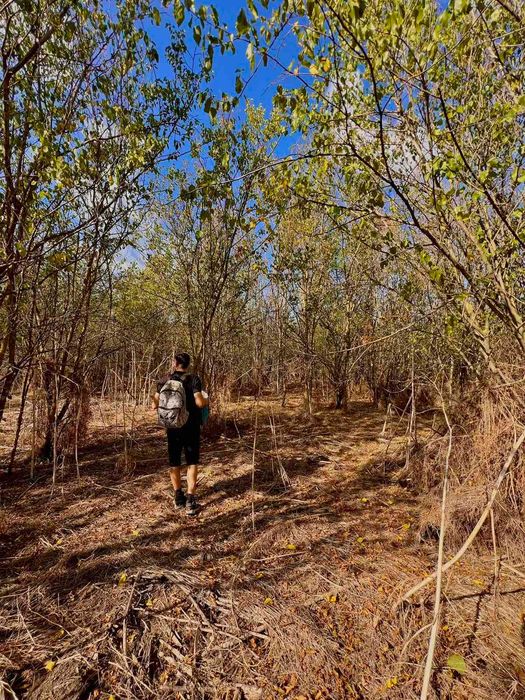 Продава се Парцел в с. Захари Стояново, Област Добрич - 2400 кв.м за 7 €/кв.м - Снимка #1