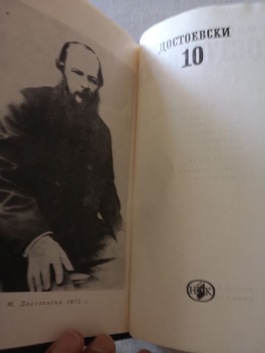 Достоевски, том 10, Дневник на писателя