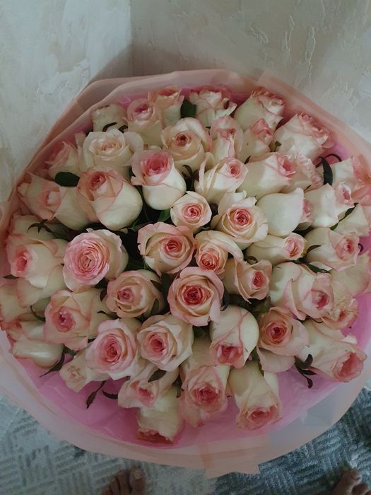 51 роза продаю красивая