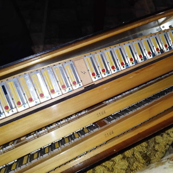 Vīnd acordeon Calvagnolo profesional cassoto 2+2 cu reg la barbă.