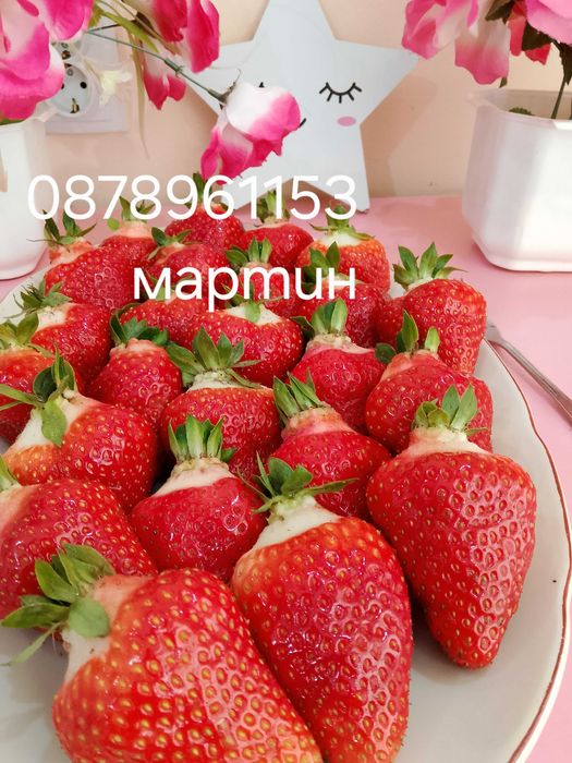 Разсад ягоди и малини