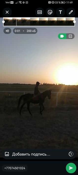 Кунан сатылады 800000