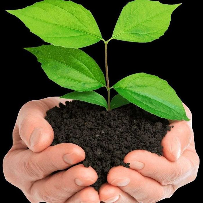 Андижон Олтинкул сифатли БИОГУМУС