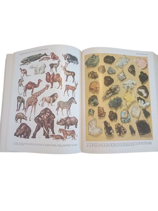 DEX  , dicționar ,1040 pagini , stare bună