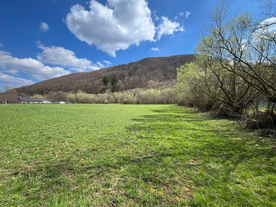 Ofertă Teren Câmpul Cetăți 2000 m²