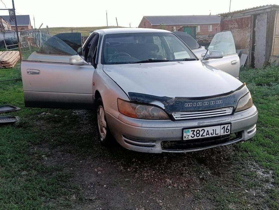 Срочно продам тайота виндом