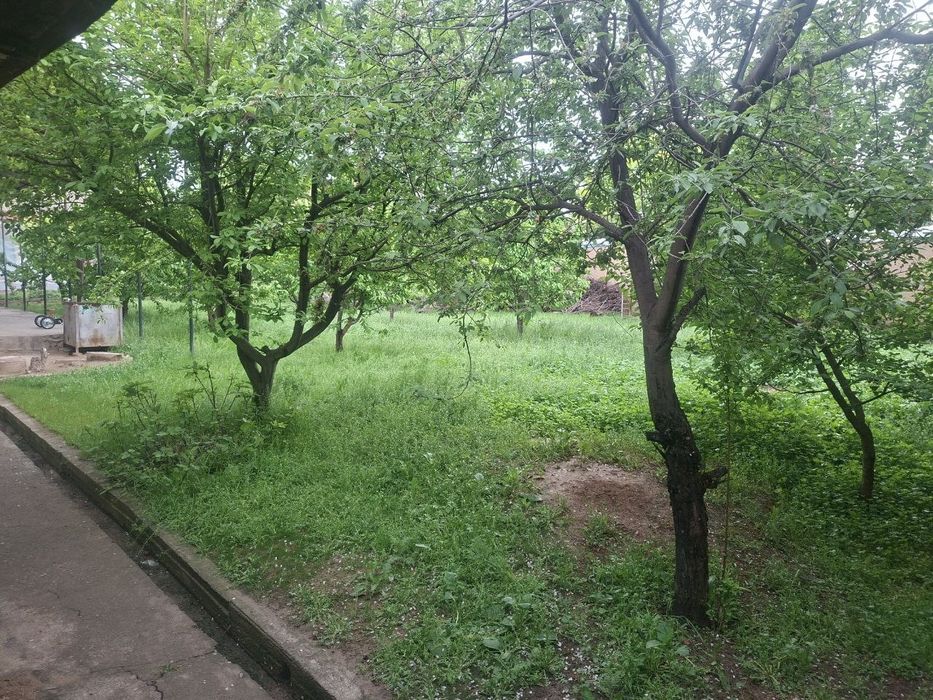Toshkent tumani Kelesda hovli sotiladi