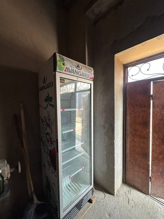 Авангард музлатгич йанги