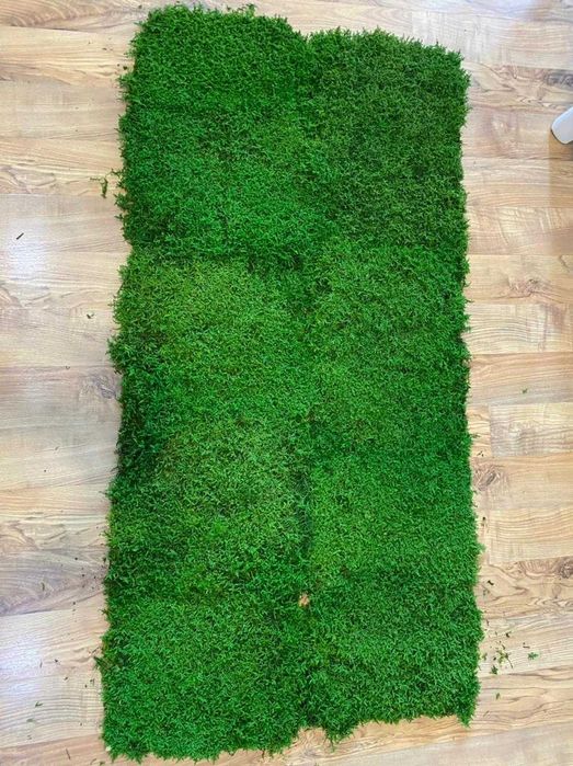 Стабилизированный мох