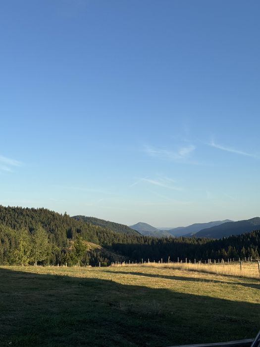 Teren intravilan  zona Vartop Arieseni