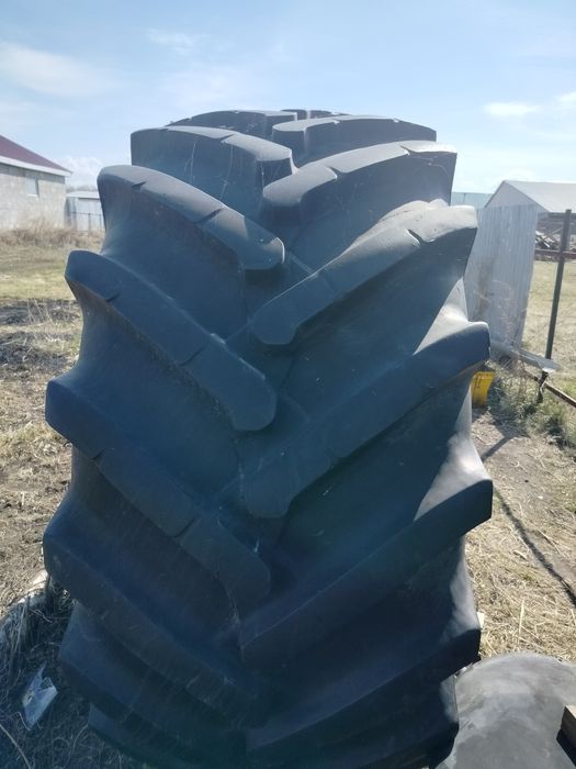 Балон для септика